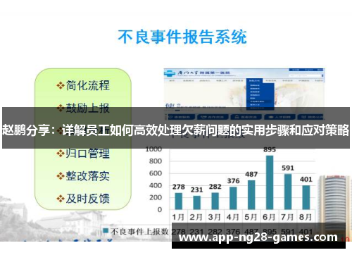 赵鹏分享：详解员工如何高效处理欠薪问题的实用步骤和应对策略